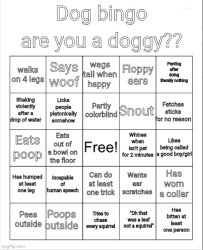Dog Bingo Meme Template