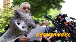 Don't Do It, Emmanuel! Robert De Niro Speach Interruption Meme Template