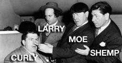 The FOUR Stooges (the BEST) Meme Template