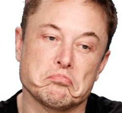 Elon Don't Care Meme Template