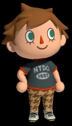 (MK8) Villager Meme Template