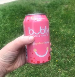 Can of bubly Meme Template