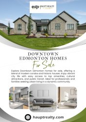 Downtown Edmonton Homes For Sale Meme Template