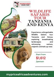 Wildlife Safaris Tour Tanzania And Kenya Meme Template