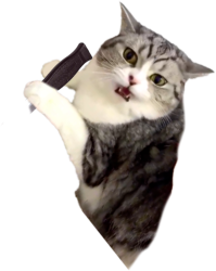 Cat with Knife Meme Template