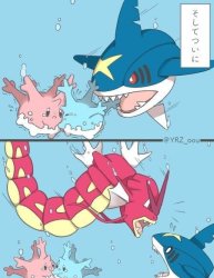 Gyarados save Corsola from Sharpedo Meme Template