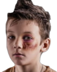 If Carlsberg did Domestic Violence Meme Template