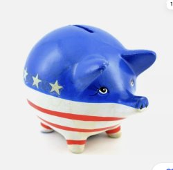 USA is a piggy bank Meme Template