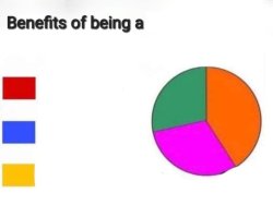 Pie chart benefits Meme Template