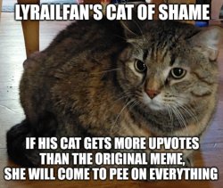 LyRailfan's cat of shame Meme Template