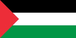 Palestine Flag Meme Template