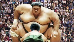 Biggest Sumo ringer Meme Template