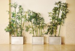 Shutterstock Image #1 Meme Template