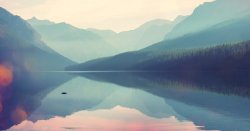 Shutterstock Image #47 Meme Template