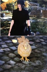 Mad chocobo chick Meme Template