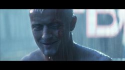 Roy Batty (Rutger Hauer) at the end of Blade Runner Meme Template