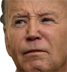 Biden old Meme Template