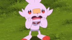 Scared scorbunny Meme Template