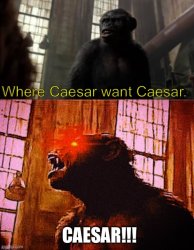 Where Caesar want Caesar Koba Dtpta Meme Template