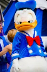 Donald disappointed Meme Template