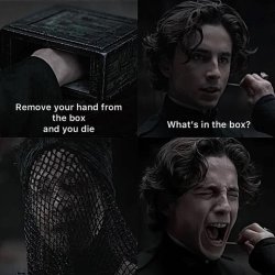What's in the box - dune Meme Template