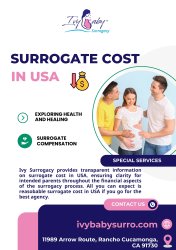 Surrogate Cost In USA Meme Template