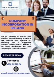 Company Incorporation In Ireland Meme Template