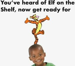 Tiger On The N- Meme Template