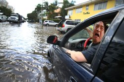 Robert DeNiro caught up in Miami flood Meme Template