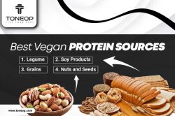 Best Vegan Protein Sources Meme Template
