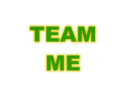 No I in TEAM Meme Template