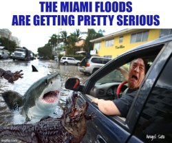 The Miami floods are getting serious part 2 Meme Template