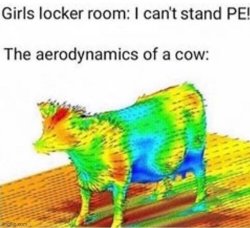 Aerodynamical model of a cow Meme Template