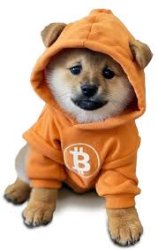 $DOGGOTOTHEMOON Meme Template