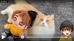 Glitch the Youtuber’s cat Meme Template
