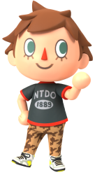 Male Villager (MK8) Meme Template