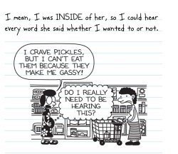 Diary of pickles Meme Template