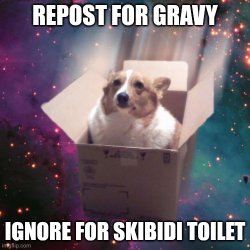 repost for gravy Meme Template