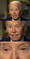 Joe biden Meme Template