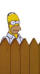 Homer Simpson Behind Fence Meme Template