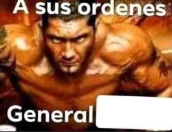 A sus ordenes general Meme Template