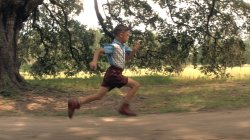 Young Forrest Gump Meme Template
