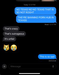 Texas banned porn hub Meme Template