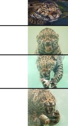 fhangry jaguar Meme Template