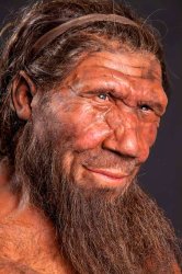 Neanderthal face JPP PH Meme Template