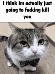kill Meme Template