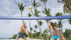 volleyball mix team lay up Meme Template