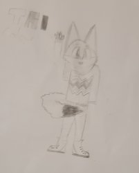 CrownedFurry Announcement Temp (TC) Meme Template
