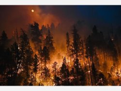 RUIDOSO DONATION & FIRE UPDATE Meme Template