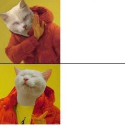 Cat meme Meme Template